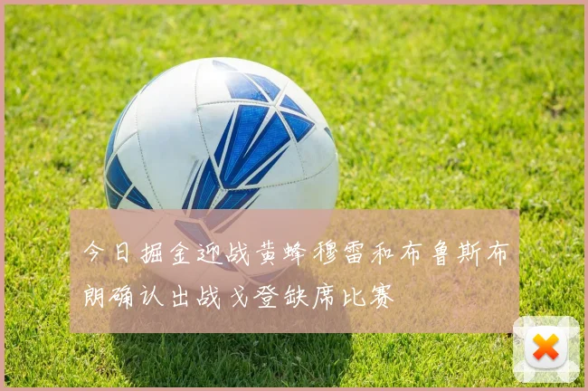 今日掘金迎战黄蜂穆雷和布鲁斯布朗确认出战戈登缺席比赛
