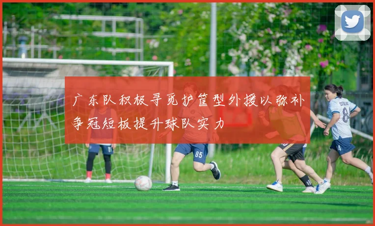 广东队积极寻觅护筐型外援以弥补争冠短板提升球队实力